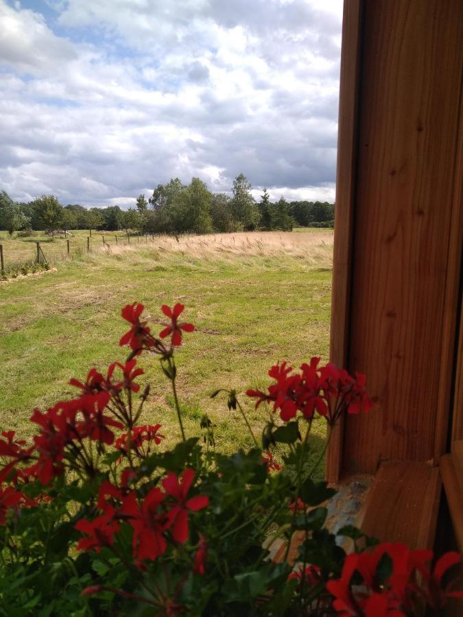 Au Paradou Du Bucheron Adults Only Lessive Exterior photo